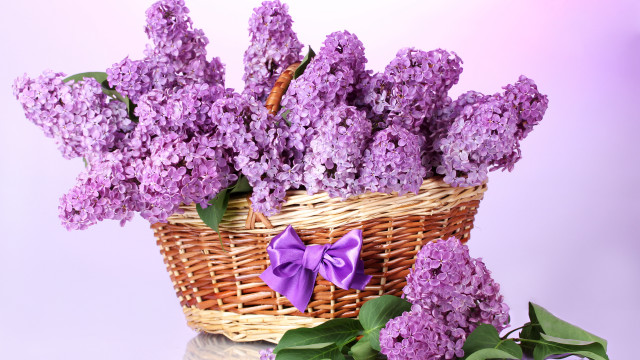Lilacs basket purple background impressionism free wallpaper for desktop - medium preview image