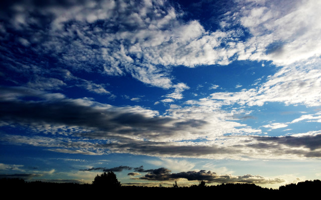 Blue sky clouds trees bench free wallpaper for desktop - medium preview image
