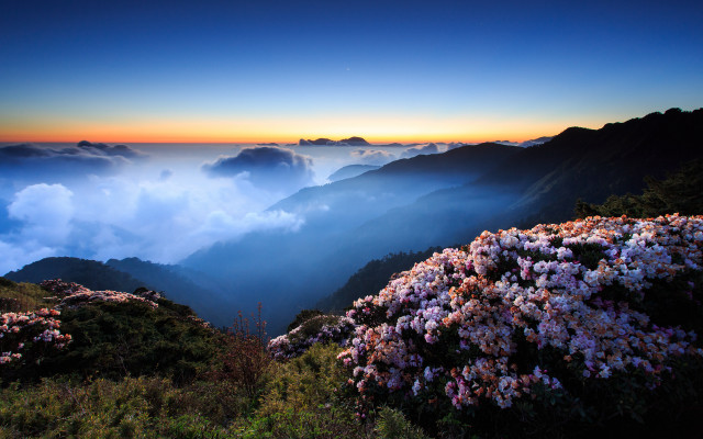 Mountain flower sky clouds distant free wallpaper for desktop - medium preview image