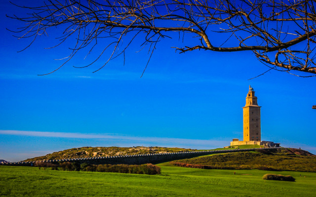 Clock tower hill tree fence free wallpaper for desktop - medium preview image