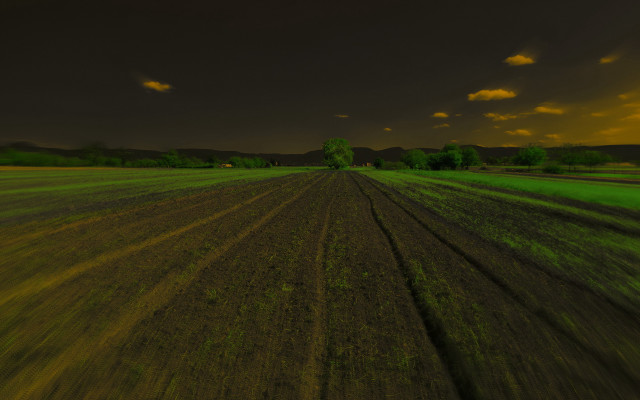 Field trees clouds sunset nature free wallpaper for desktop - medium preview image