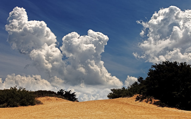 Dirt road trees clouds blue free wallpaper for desktop - medium preview image