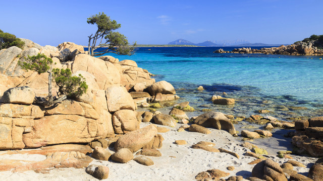 Rocky beach clear water tree free wallpaper for desktop - medium preview image