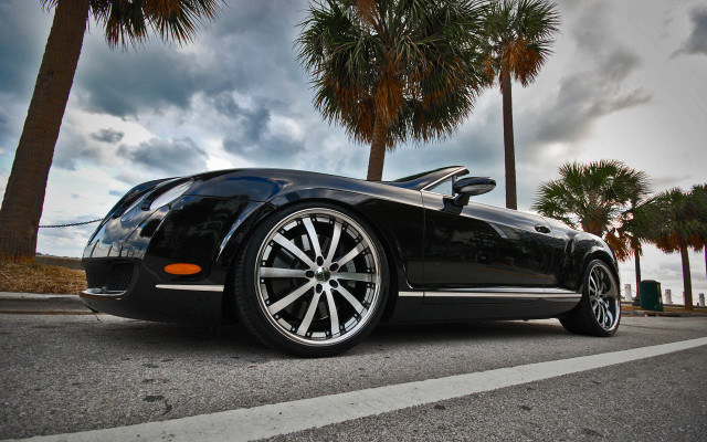 Black car palm trees cloudy free wallpaper for desktop - medium preview image