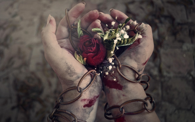 Blood rose injury blurry dark free wallpaper for desktop - medium preview image