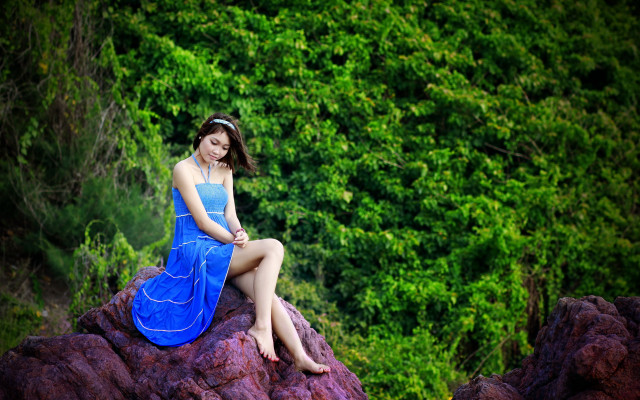Woman blue dress sitting forest free wallpaper for desktop - medium preview image