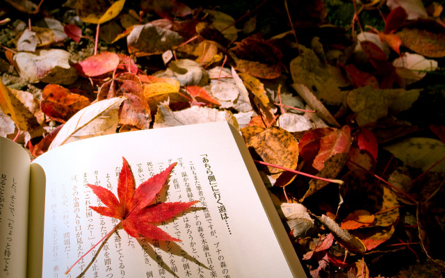 Book leaf autumn storybook fire free wallpaper for desktop - medium preview image
