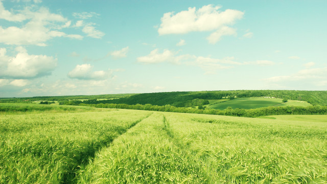 Green field cloudy sky trail free wallpaper for desktop - medium preview image