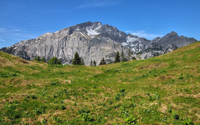 Mountain field trees snowsky cloud #2 free wallpaper for desktop - medium preview image