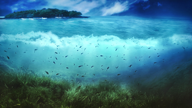 Fish ocean island beach sky free wallpaper for desktop - medium preview image