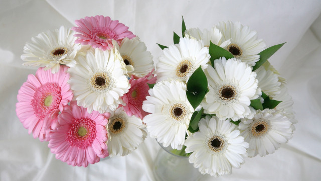 White flower vase orphism bouquet free wallpaper for desktop - medium preview image