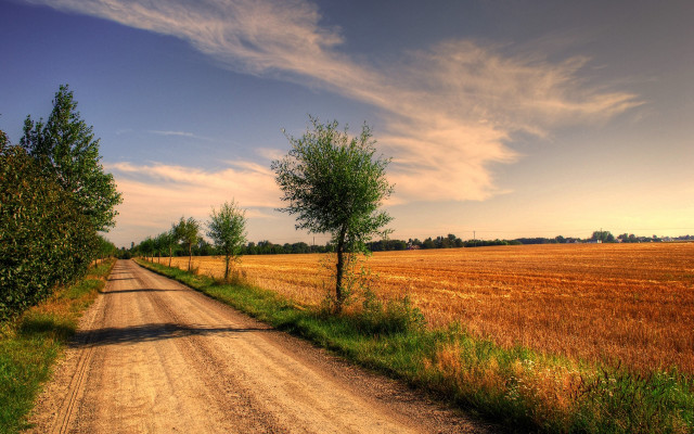 Dirt road tree field blue free wallpaper for desktop - medium preview image