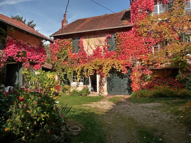 Flowered house autumn forest sunset free wallpaper for desktop - medium preview image