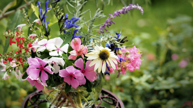 Vase flower field bokeh impressionism free wallpaper for desktop - medium preview image