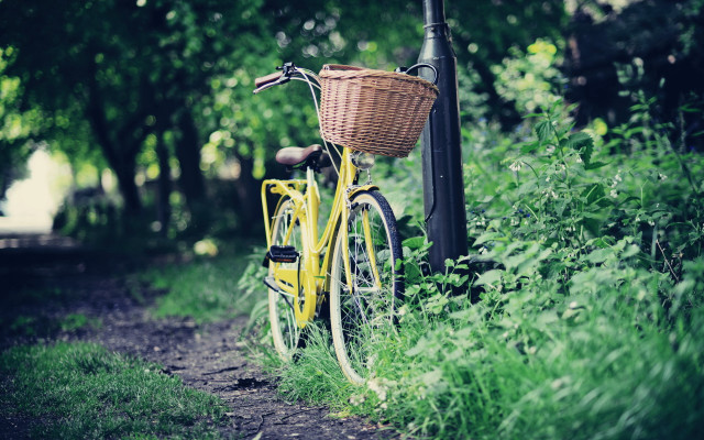 Yellow bicycle forest ecological art free wallpaper for desktop - medium preview image