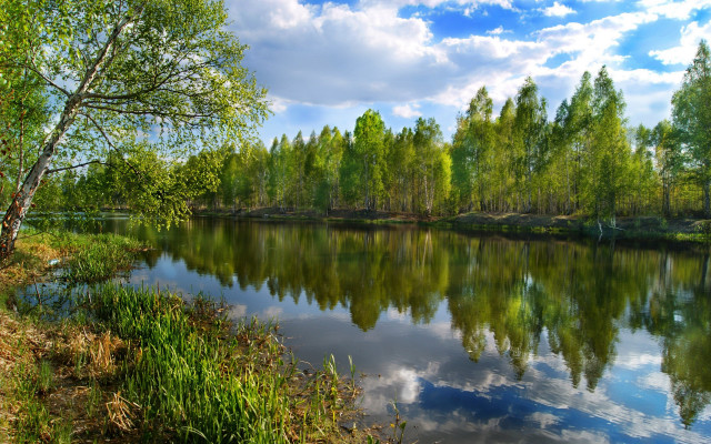 Lake trees grass cloudy sky #2 free wallpaper for desktop - medium preview image