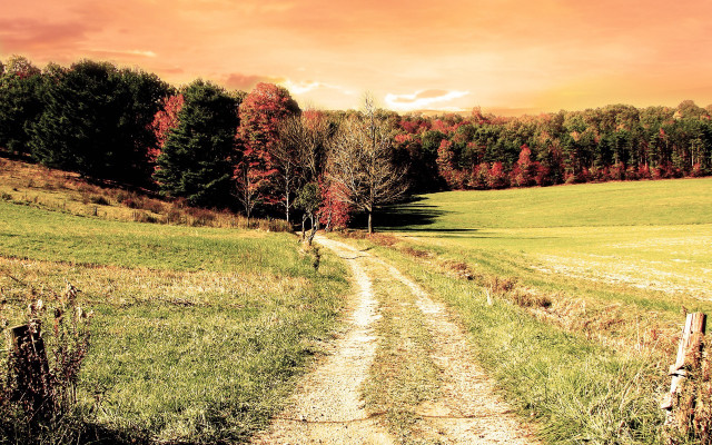 Dirt road autumn sunset foliage free wallpaper for desktop - medium preview image
