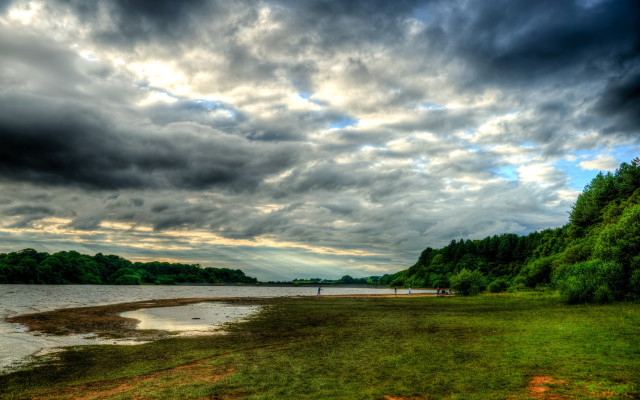 Cloudy lake shore forest evening free wallpaper for desktop - medium preview image