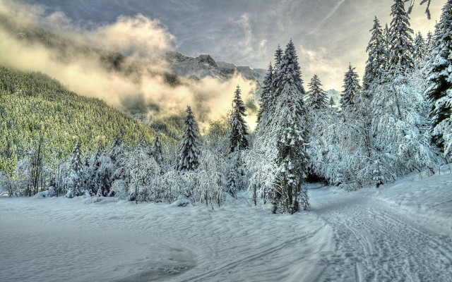 Snowy mountain trees clouds trail free wallpaper for desktop - medium preview image