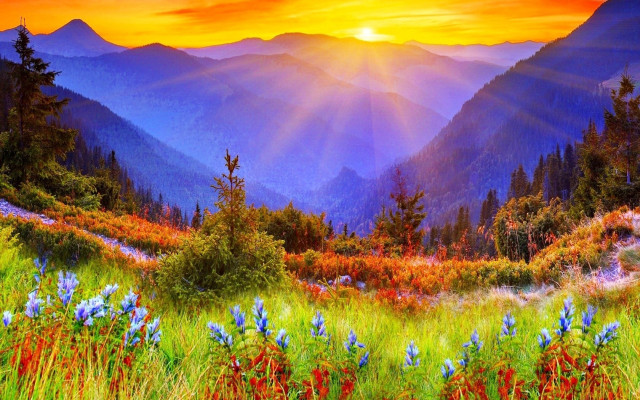 Mountain landscape autumn sunset flowers free wallpaper for desktop - medium preview image