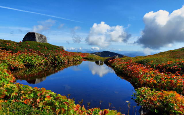 Small pond flower mountain cloud free wallpaper for desktop - medium preview image