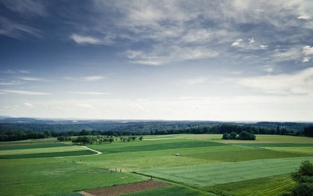 Large field trees clouds beach free wallpaper for desktop - medium preview image