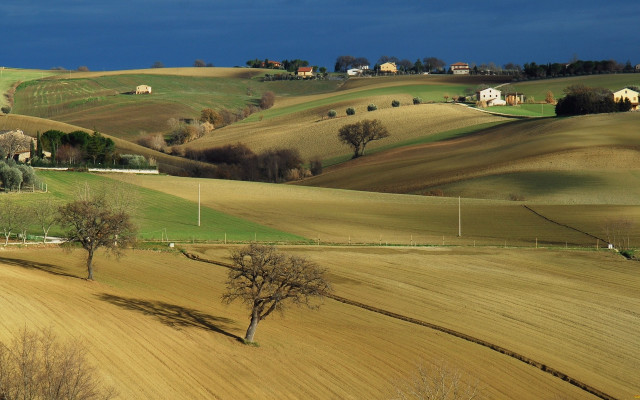 Field trees house dark sky free wallpaper for desktop - medium preview image
