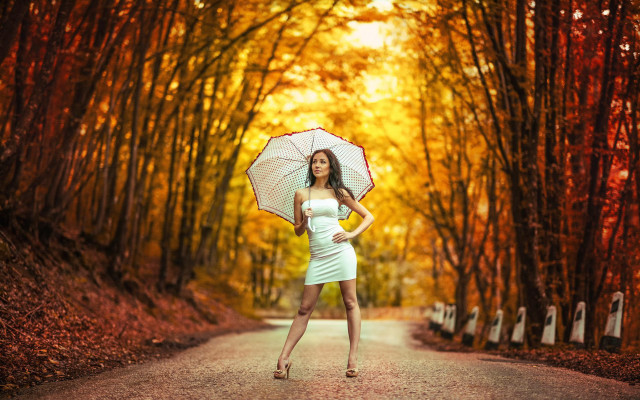 Woman dress umbrella autumn rain free wallpaper for desktop - medium preview image