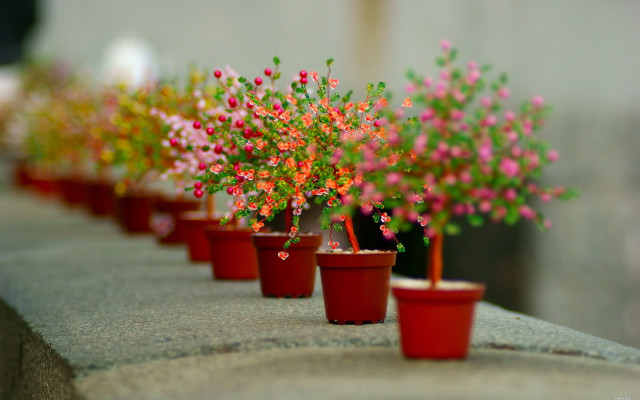 Red pots pink flowers ledge free wallpaper for desktop - medium preview image