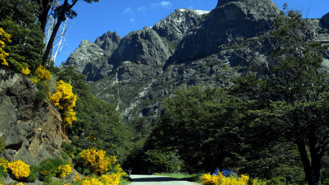 Road mountains yellowflowers trees ecological free wallpaper for desktop - medium preview image