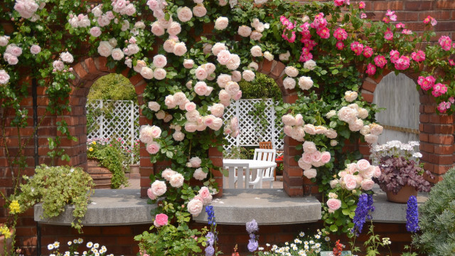 Garden bench flowers wall roses free wallpaper for desktop - medium preview image