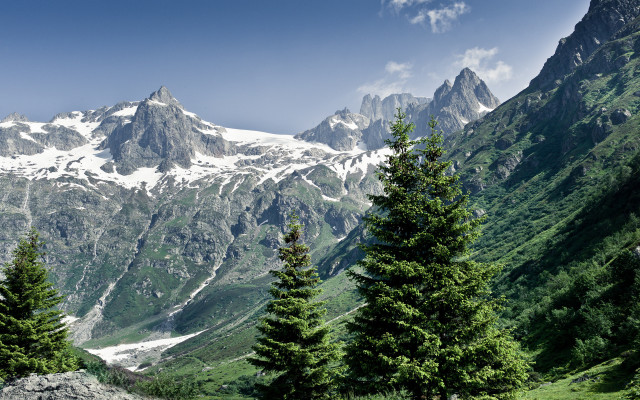 Mountain range snow peak forest free wallpaper for desktop - medium preview image
