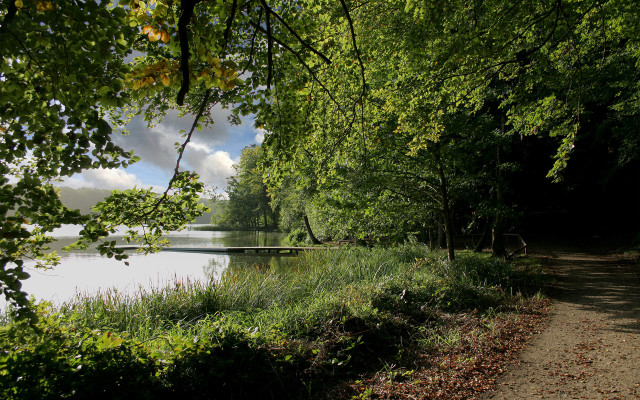 Lake path bridge trees nature free wallpaper for desktop - medium preview image