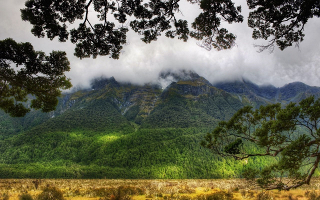 Mountain range forest clouds field free wallpaper for desktop - medium preview image