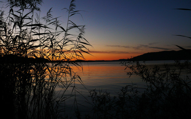 Lake sunset plants hill forest free wallpaper for desktop - medium preview image
