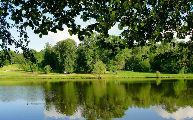 Lake trees park bench plein free wallpaper for desktop - medium preview image