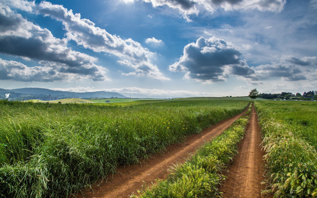 Dirt road field sky clouds #3 free wallpaper for desktop - medium preview image