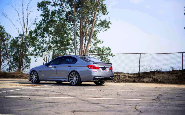 Silver car fence trees branch free wallpaper for desktop - medium preview image