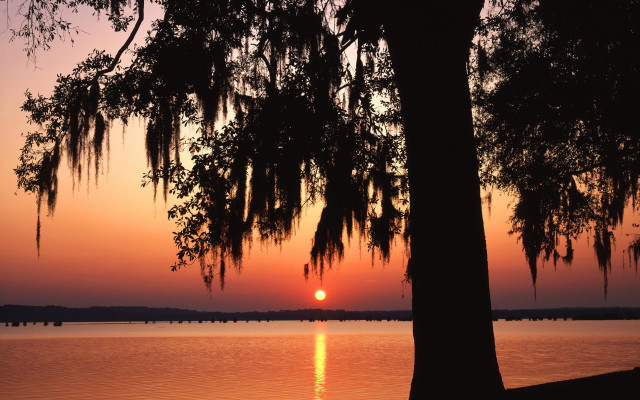 Sunset lake tree bridge boats free wallpaper for desktop - medium preview image