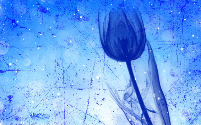 Blue flower blue background starry free wallpaper for desktop - medium preview image