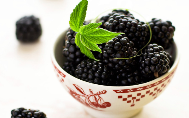 Blackberries green leaf photorealism stock free wallpaper for desktop - medium preview image