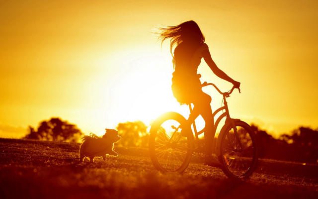 Woman bike dog sunset autumn free wallpaper for desktop - medium preview image