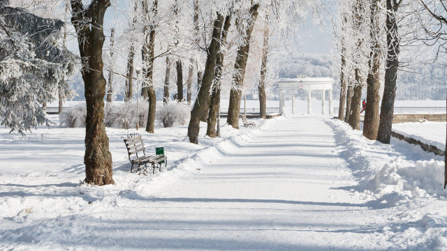Snowy path benches trees white free wallpaper for desktop - medium preview image
