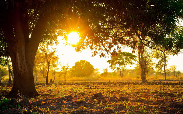 Autumn forest sunrise fireworks nature free wallpaper for desktop - medium preview image