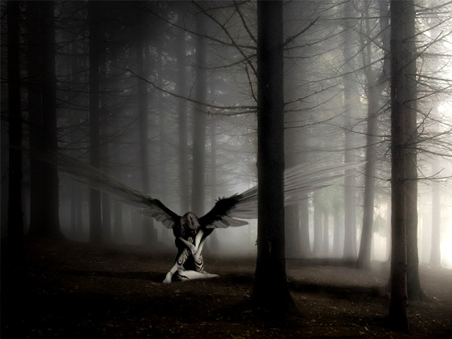 Woman wings dark forest fog free wallpaper for desktop - medium preview image