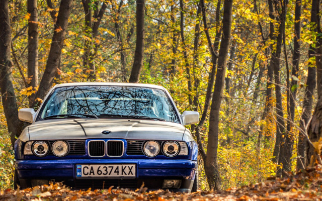 Blue white car woods autumn free wallpaper for desktop - medium preview image
