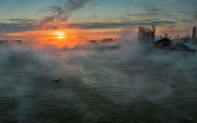 Bird water sunset mist city free wallpaper for desktop - medium preview image