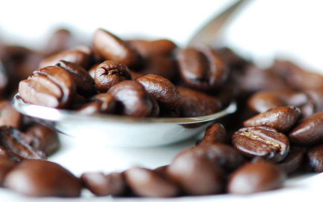 Coffee beans spoon white background free wallpaper for desktop - medium preview image