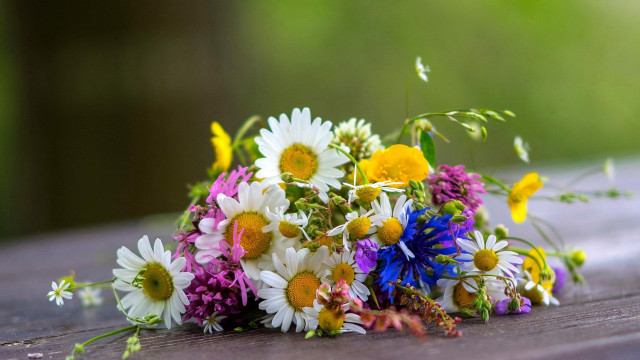 Wildflowers bouquet wooden table sunlight free wallpaper for desktop - medium preview image