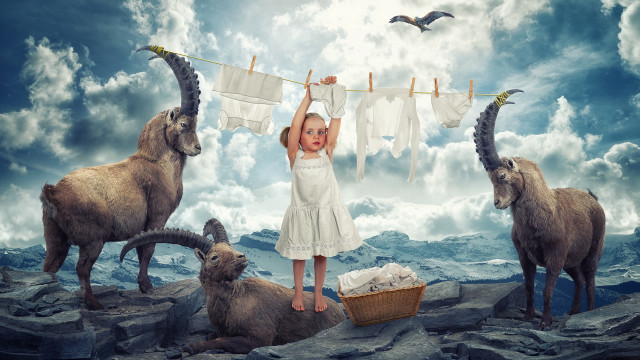 Girl goats rock bird cloud free wallpaper for desktop - medium preview image